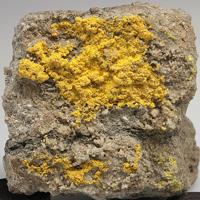 Bayleyite, Liebigite, Gypsum