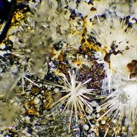 Canavesite, Inderite, Dypingite