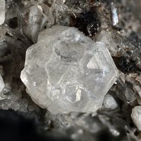 Farneseite