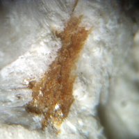 Nabalamprophyllite