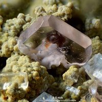 Lanthanite-(Nd), Clinoptilolite-Ca, Siderite