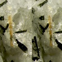 Lamprophyllite