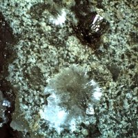 Uralolite, Pyrite