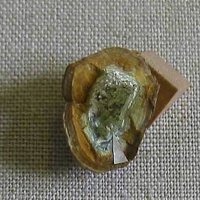 Overite, Gordonite, Variscite