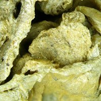Palygorskite
