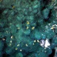 Calciopetersite, Chrysocolla