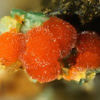 Uranosphaerite