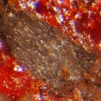 Raguinite, Lorándite, Realgar