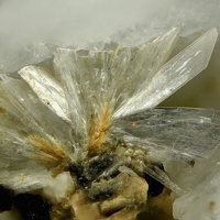 Cascandite