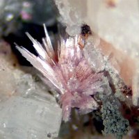 Cascandite