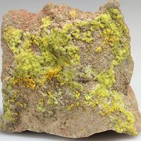 Bayleyite, Liebigite, Gypsum