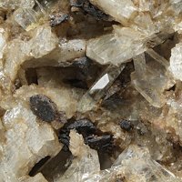 Rambergite, Apophyllite Group, Tremolite