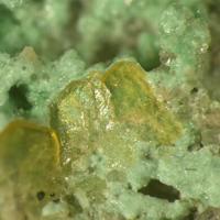 Bassetite