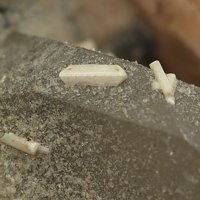 Kainosite-(Y)