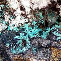 Langite