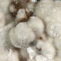 Oyelite