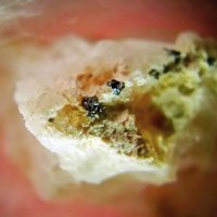 Landauite