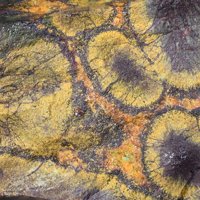 Rameauite, Uraninite, Schoepite