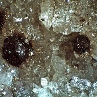 Rambergite
