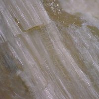 Davreuxite