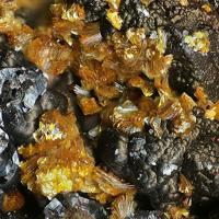 Bassetite