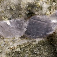 Farneseite
