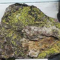 Uranocircite