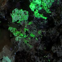 Raite, Hydroterskite, Terskite