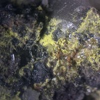 Gartrellite