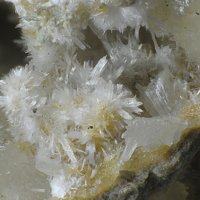 Dachiardite-Na, Calcite