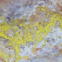 Baumoite
