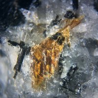Lamprophyllite, Aegirine