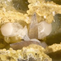 Raspite, Mimetite-Pyromorphite Series, Alunite Supergroup