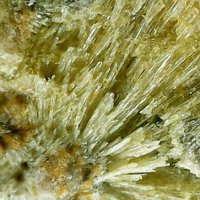 Carpholite