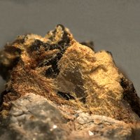 Carlosbarbosaite