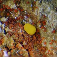Calcurmolite, Umohoite, Nováčekite