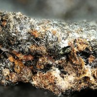Maghemite, Magnesio-hastingsite