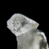 Carbobystrite