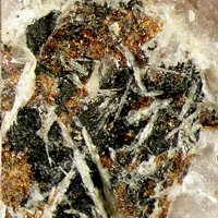 Umbozerite, Shkatulkalite, Ussingite