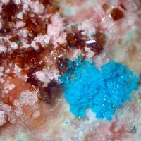 Canutite, Lavendulan, Magnesiokoritnigite
