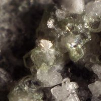 Caysichite-(Y)