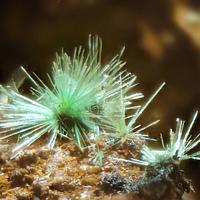 Agardite-(La)