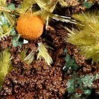 Uranosphaerite, Sklodowskite, Goethite