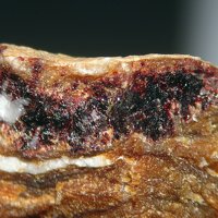 Palenzonaite