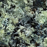 Rabbittite