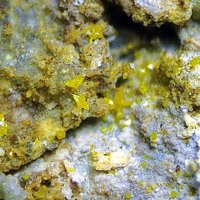 Cassedanneite