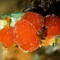 Uranosphaerite