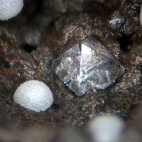 Faujasite-Ca, Phillipsite Subgroup