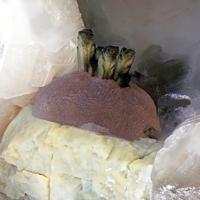 Calcioancylite-(Nd), Epidote, Fluorite