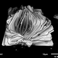 Uranotungstite